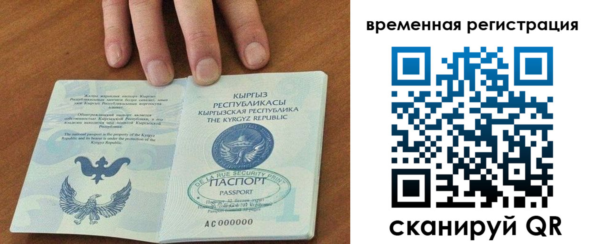 где прописаться в Могочи